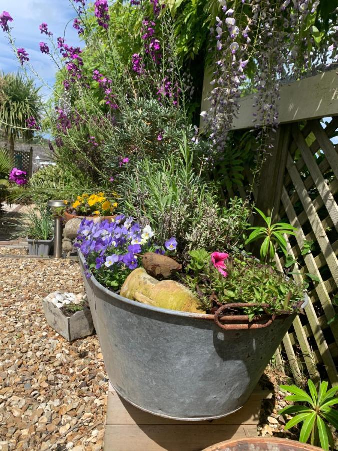 Stargazy Garden Hayle Exterior foto
