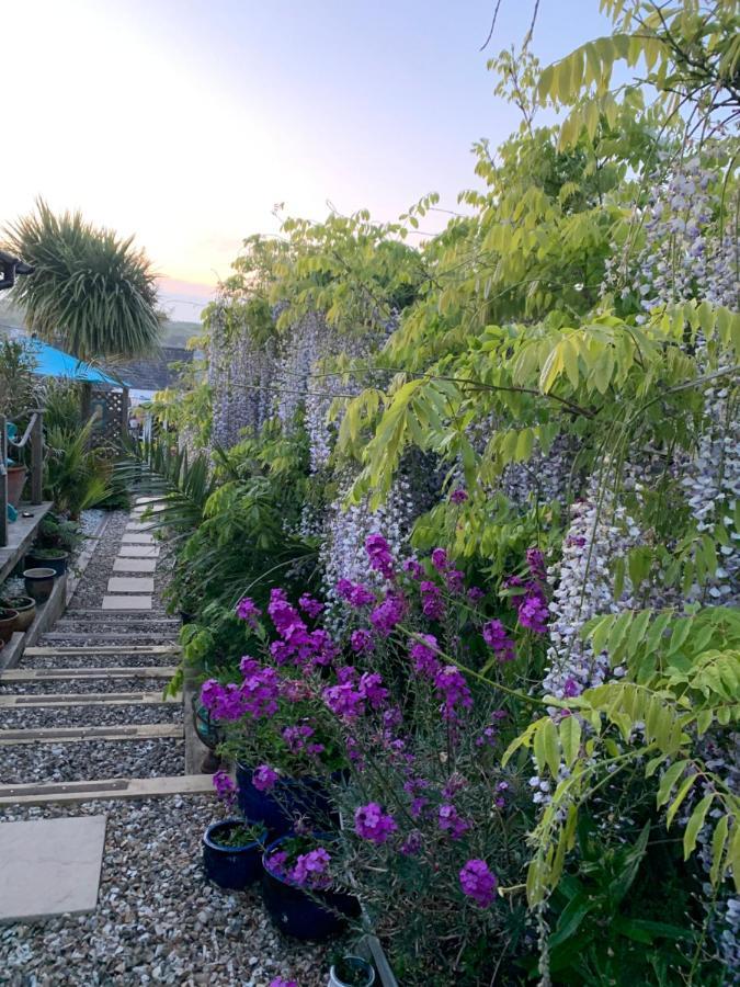 Stargazy Garden Hayle Exterior foto